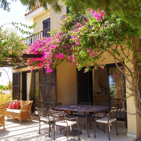 Kamares * Pafos