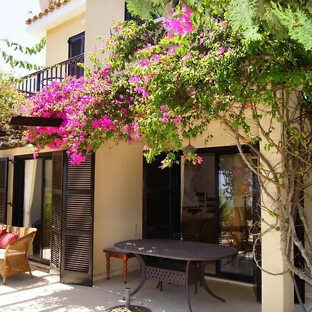 Kamares Pafos